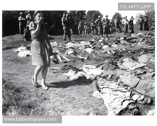 在道德困境中抉择的艰难时刻与这是我的战争的深刻反思 在道德困境中抉择的艰难时刻与这是我的战争的深刻反思